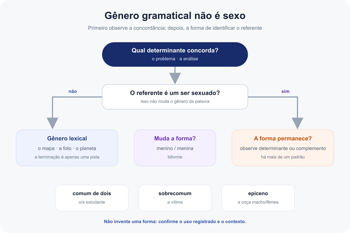 Fluxo que separa gênero gramatical, variação de forma e indicação do sexo do referente